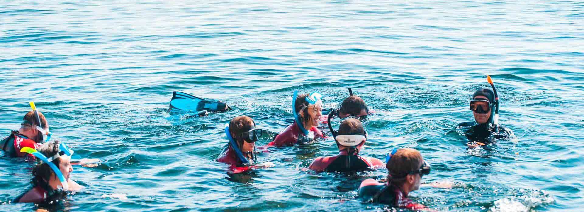 quoi faire autour de lisbonne